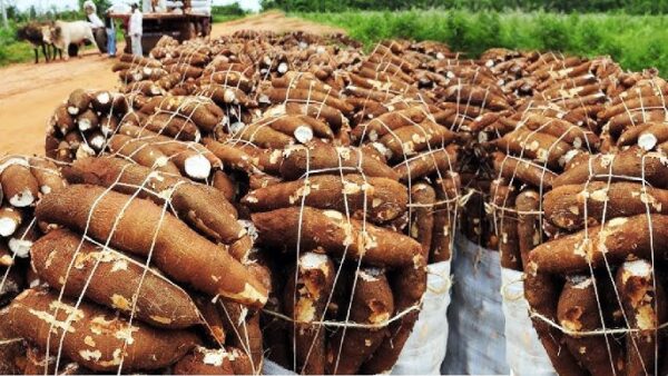 Invest_2025_Farm_Season