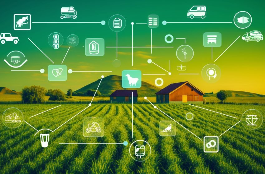 Technology and agribusiness